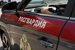 Охрану общественного порядка и безопасность на матче регулярного чемпионата КХЛ между ЦСКА и «Салаватом Юлаевым» в Москве обеспечила Росгвардия